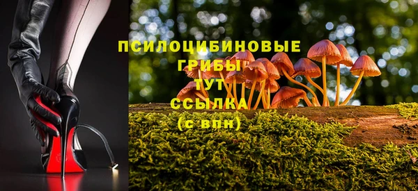 винт Карпинск