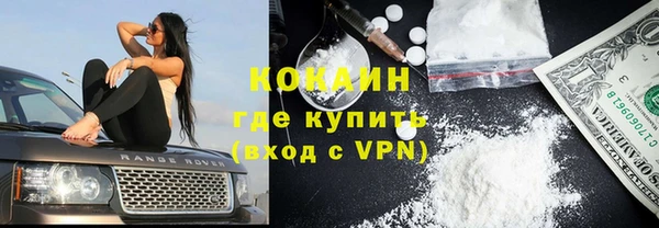 сатива Касимов