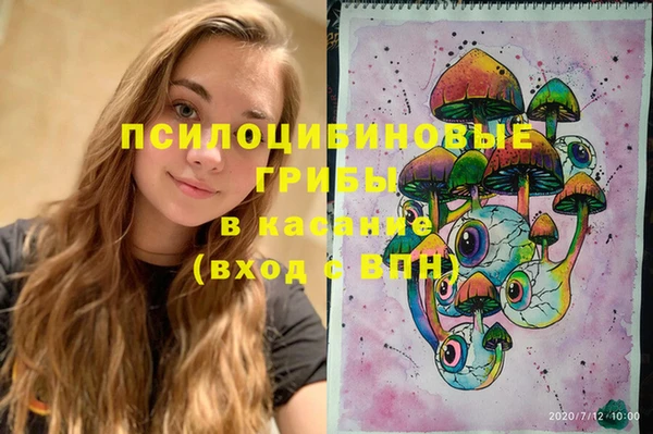 винт Карпинск