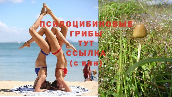 винт Карпинск