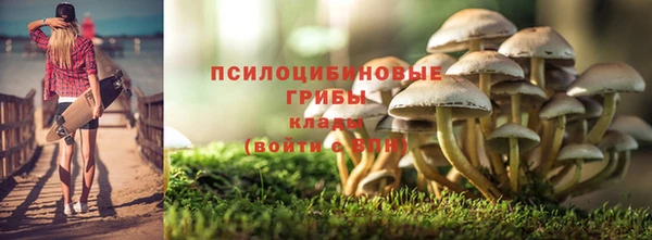 сатива Касимов